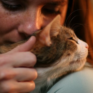 Tender Moment: Woman Nuzzles Beloved Tabby Cat