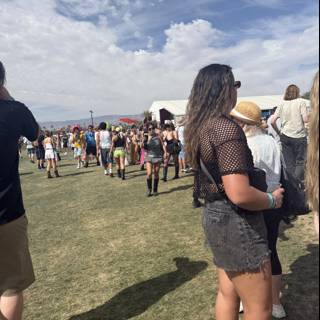 Sunlit Gatherings
