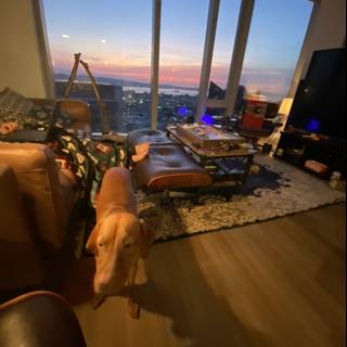 Furry Watchdog in a Penthouse Living Room
