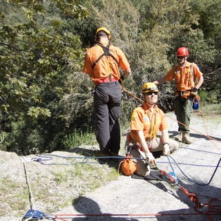 teamwork