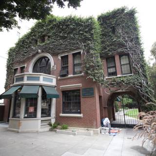 Ivy-Clad Building in the Heart of the City