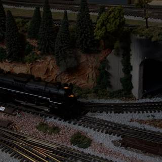 Train Through the Fir Tunnel