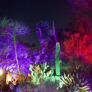 Enchanted Night at the Ruth Bancroft Garden