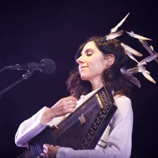 Feathered Musician: PJ Harvey's Solo Performance