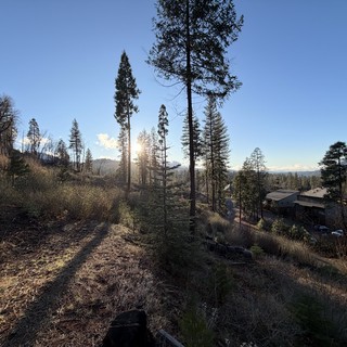 Golden Hour Sunburst Through Sierra Nevada Pines
