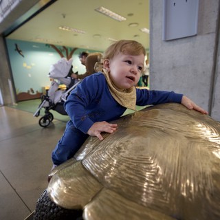 Toddler Exploring Golden Turtle Sculpture at Visitor Center