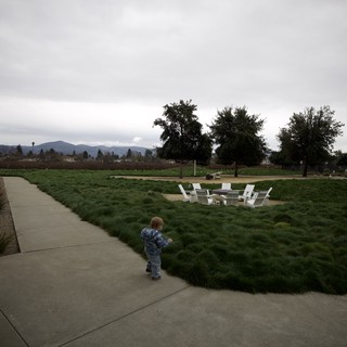 Toddler Explores Park Grounds on Overcast Evening