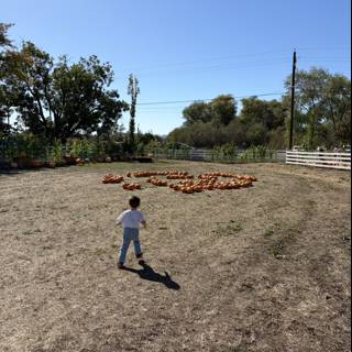 Harvest Stroll