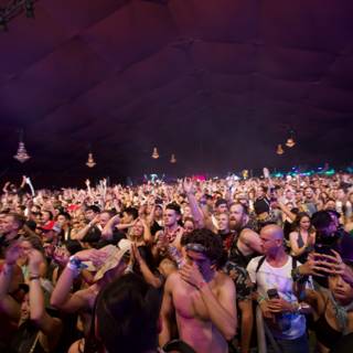 Urban Concert Crowd at Coachella Music Festival
