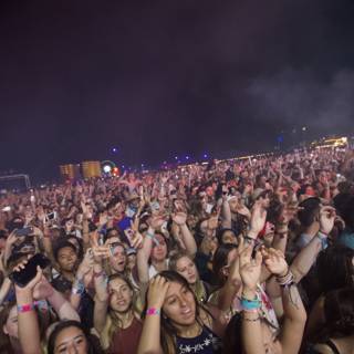 Coachella 2016's Electric Crowd