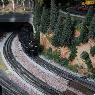 All Aboard the Model Train Through the Forest