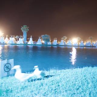 Night Flare on Lake with Ducks