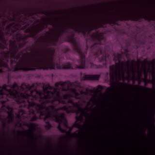 Infrared Silhouettes: A Bridge Over Urban Waters