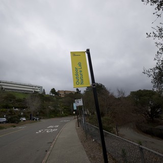 Overcast Day at The Lawrence Outdoor Nature Lab