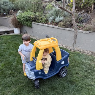 Brothers Playing in Toy Car in Backyard