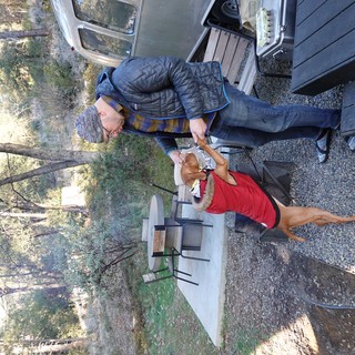 Man Feeding Dog at Campground Picnic Site