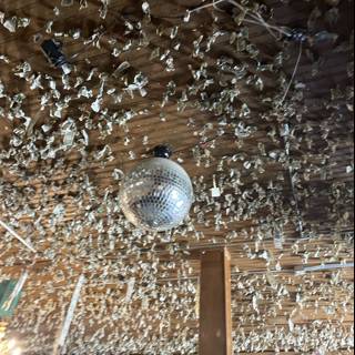 Papered Ceiling of Disco Dreams