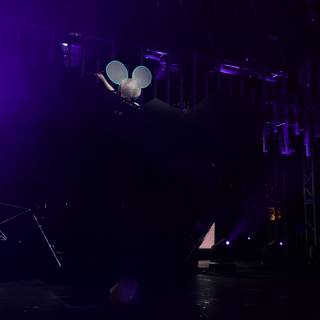 Mouse Head on Stage