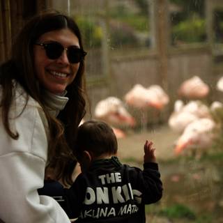 Flamingo Encounter: A Day at the San Francisco Zoo