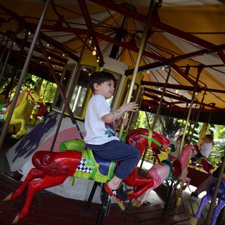 Child Riding Colorful Carousel Horse at Fantasyland