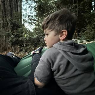 Tranquil Moments in the Forest