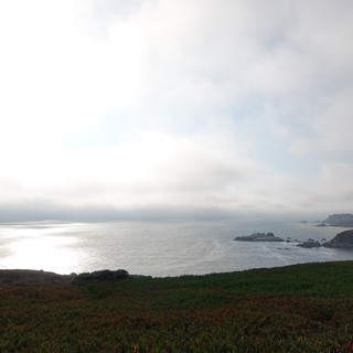 Misty Coastal Morning Along Pacific Shoreline