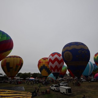 Colorful Hot Air Balloons Fill Overcast Morning Sky