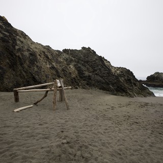 Driftwood Sculpture on Foggy Northern California Beach