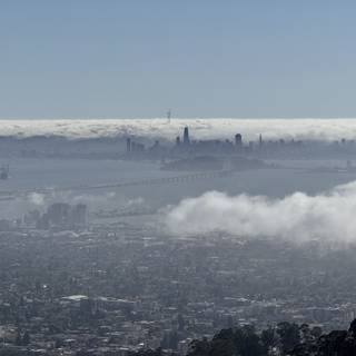 Fog Embrace Over the Bay