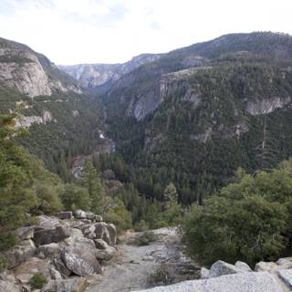 Serene Wilderness of Yosemite, 2023