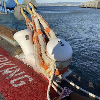 Dock Dog and Sailboat