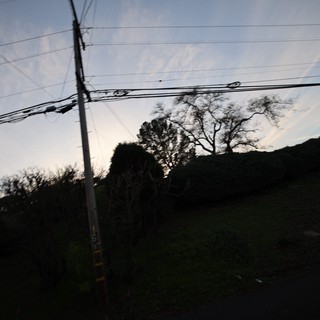 Dusk Silhouettes Along Rural Power Lines