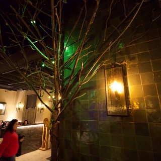 Illuminated Tree in Contemporary Restaurant Interior