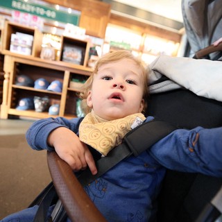 Young Child Shopping in Retail Store Stroller