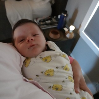 Newborn Baby Wesley in Bee-Patterned Swaddle