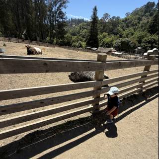 Curious Adventures at Tilden Nature Area