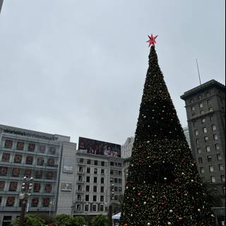 Sparkling Christmas tree in the heart of Union Square