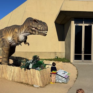 Child Encounters Life-Size T-Rex Display at Museum