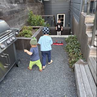 Urban Backyard Adventure