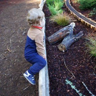 Botanical garden or nature center playground
