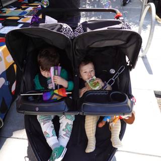 Afternoon Adventures in Twin Strollers