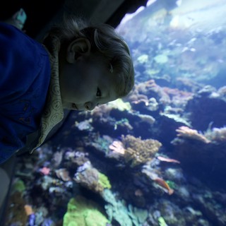 Child's Wonder at Aquarium Coral Reef Display
