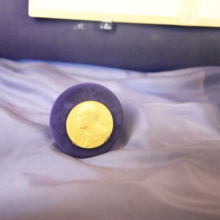 Nobel Prize Medal Display on Purple Velvet
