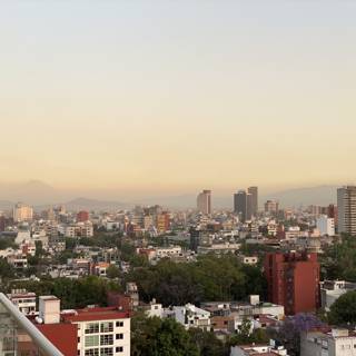 Rooftop Views of Cuauhtémoc Metropolis