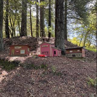 Miniature Village in the Woods