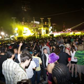 Nocturnal Crowd at Music Festival