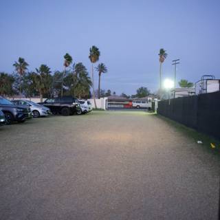 Twilight Gathering at Coachella 2024