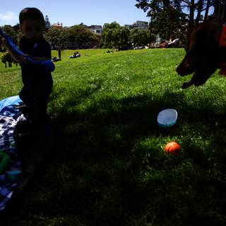 Summer Fun: A Boy, His Dog, and a Frisbee