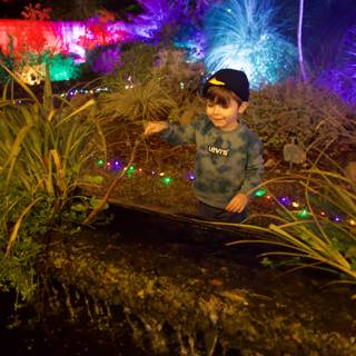 Enchanted Evening in the Garden