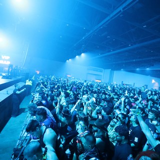 Massive Crowd Surges at Wobbleland 2026 Festival